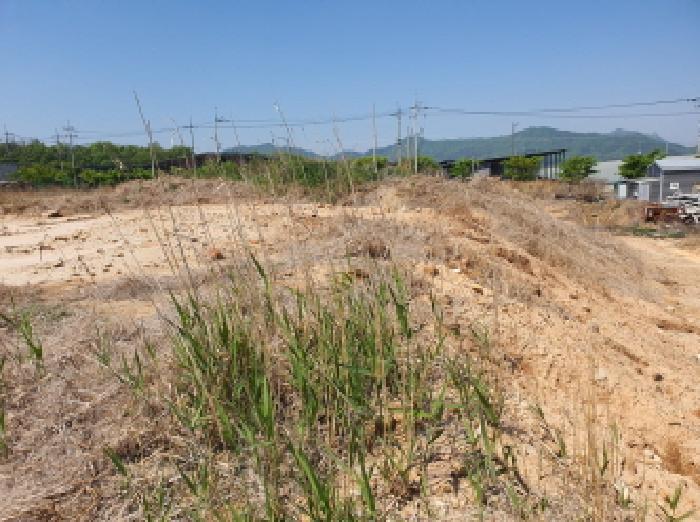 전라남도 강진군 성전면 명산리 1490-10 공장용지 경매 사진 5