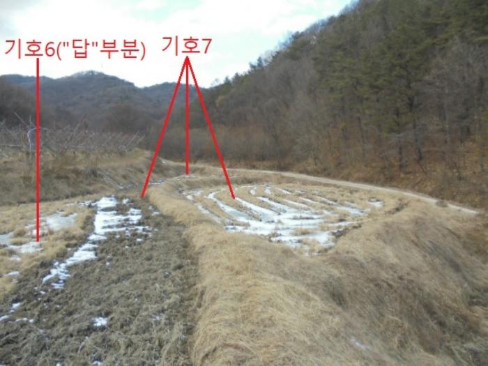 충청북도 충주시 앙성면 중전리 700-2 전 경매 사진 4