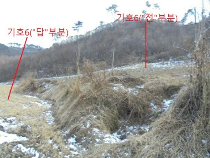 충청북도 충주시 앙성면 중전리 700-2 전 경매 사진 5