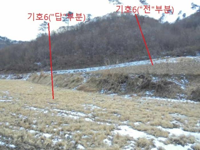 충청북도 충주시 앙성면 중전리 700-2 전 경매 사진 6