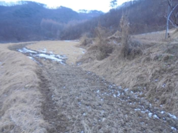 충청북도 충주시 앙성면 중전리 700-2 전 경매 사진 9