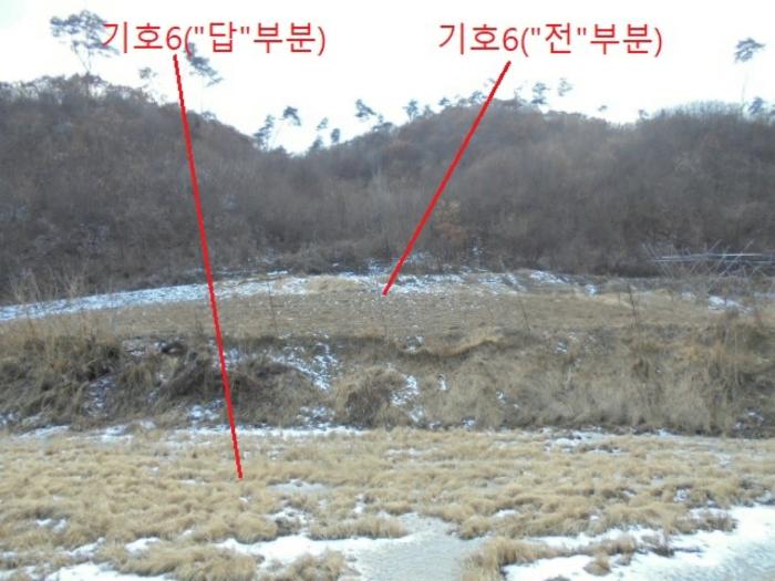 충청북도 충주시 앙성면 중전리 750 답 경매 사진 3