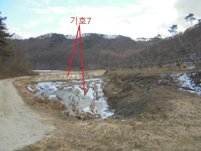 충청북도 충주시 앙성면 중전리 750 답 경매 사진 7