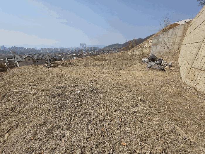 충청북도 충주시 연수동 산24-22 임야 경매 사진 10