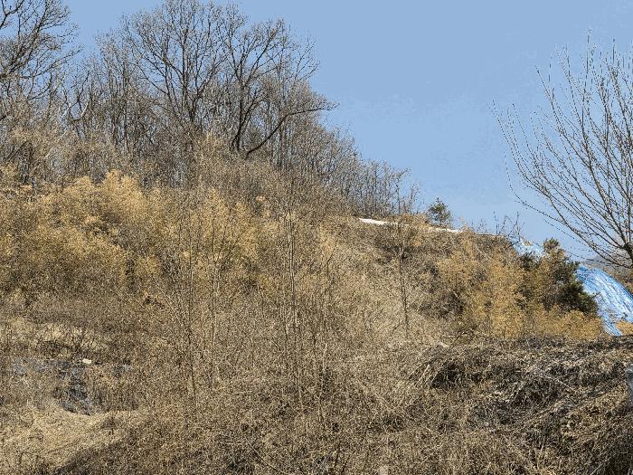 충청북도 충주시 연수동 산24-22 임야 경매 사진 11