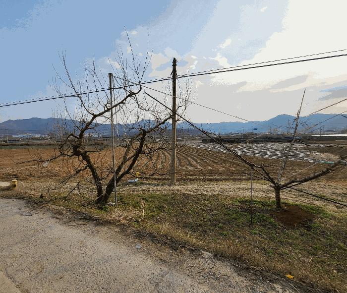 충청북도 음성군 소이면 후미리 116 전 경매 사진 2