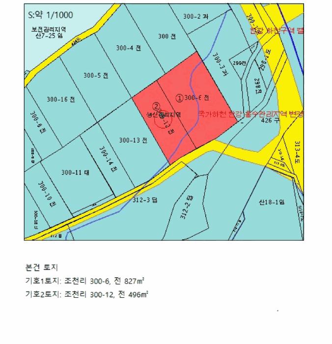 충청북도 충주시 앙성면 조천리 300-6 전 경매 사진 12