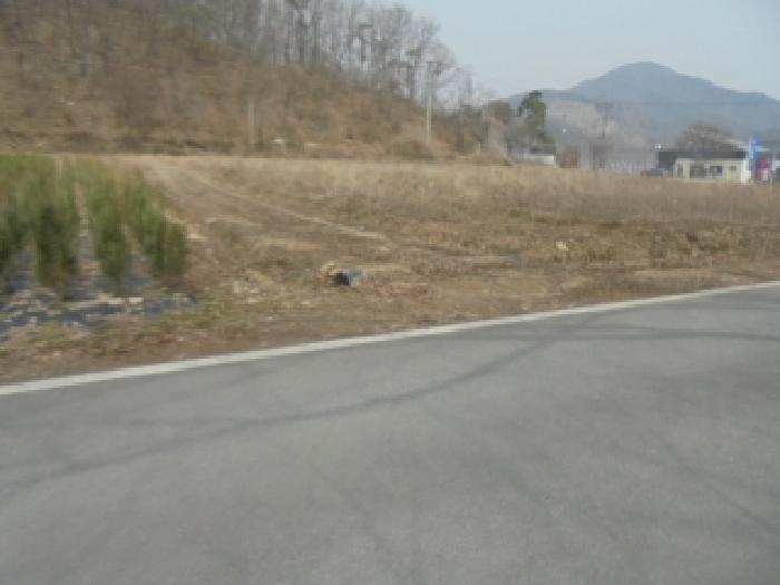 충청북도 충주시 앙성면 조천리 300-12 전 경매 사진 7