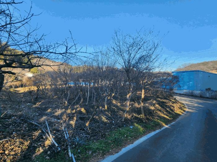 전라남도 고흥군 동강면 장덕리 533 전 경매 사진 11