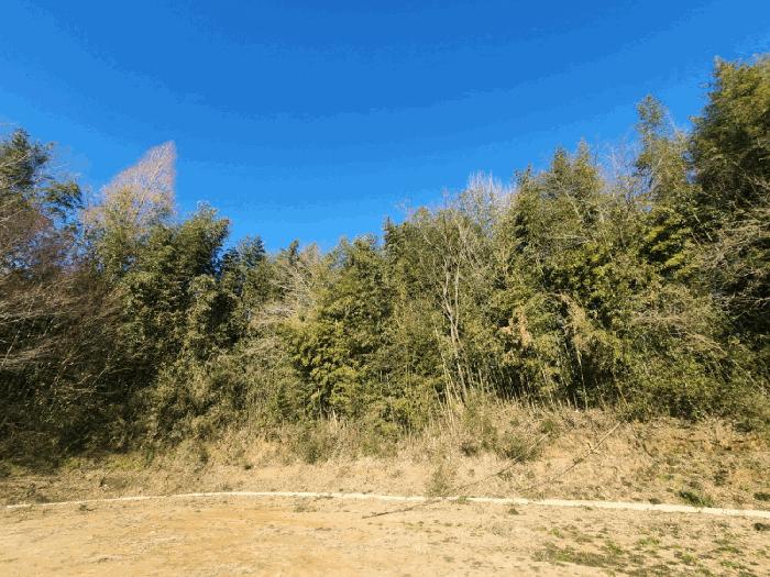 전라남도 고흥군 동강면 장덕리 533 전 경매 사진 12