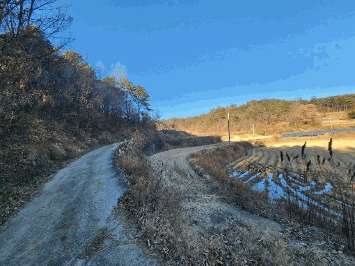 전라남도 고흥군 동강면 장덕리 533 전 경매 사진 14