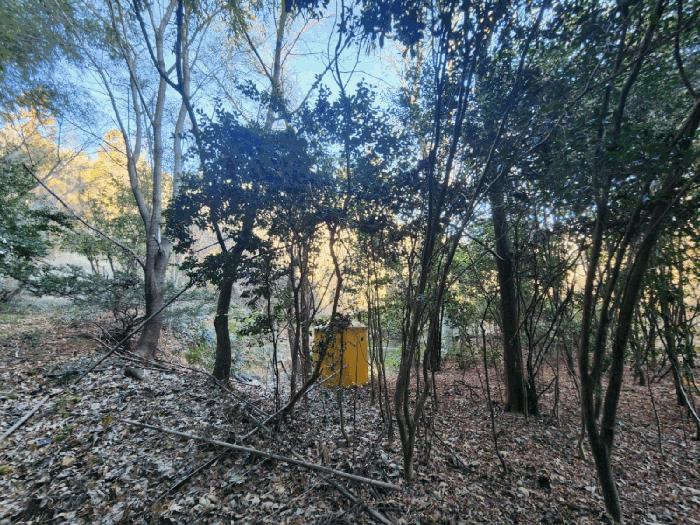 전라남도 고흥군 동강면 장덕리 533 전 경매 사진 18