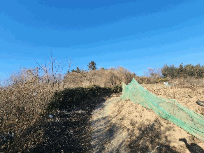 전라남도 고흥군 동강면 장덕리 533 전 경매 사진 19