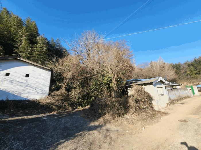 전라남도 고흥군 동강면 장덕리 533 전 경매 사진 2