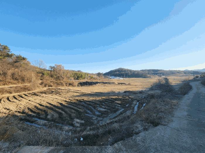 전라남도 고흥군 동강면 장덕리 533 전 경매 사진 20