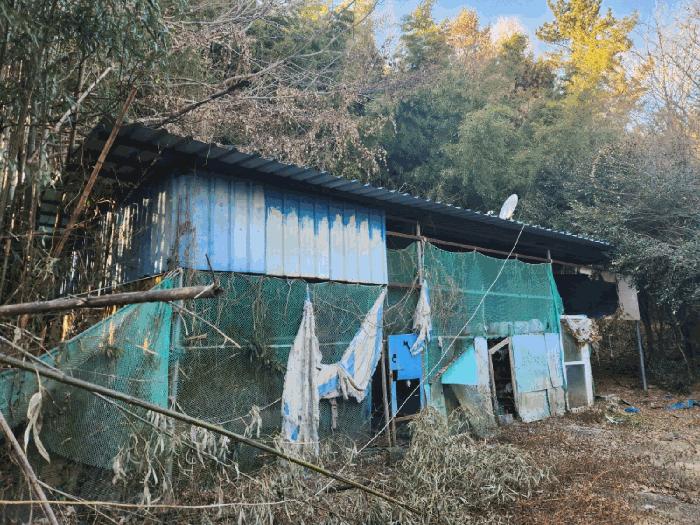 전라남도 고흥군 동강면 장덕리 533 전 경매 사진 21