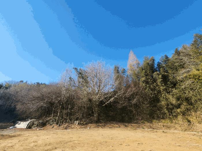 전라남도 고흥군 동강면 장덕리 533 전 경매 사진 22