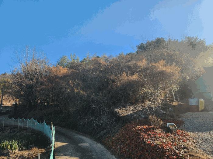 전라남도 고흥군 동강면 장덕리 533 전 경매 사진 23