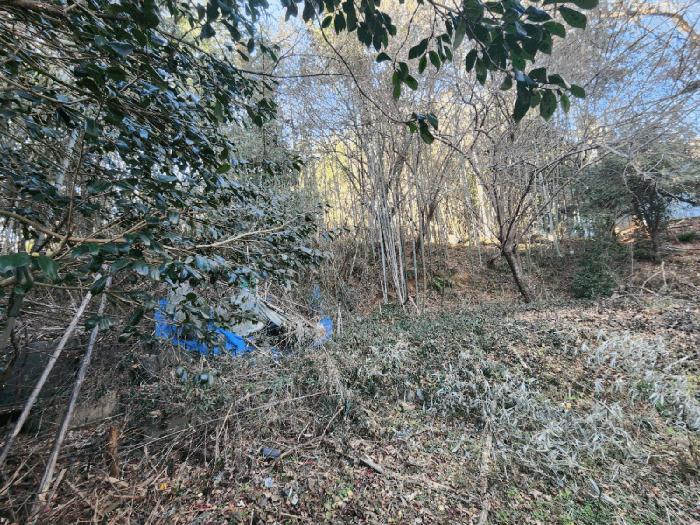 전라남도 고흥군 동강면 장덕리 533 전 경매 사진 24