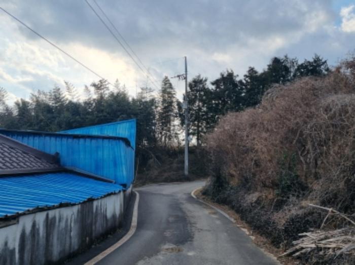 전라남도 고흥군 동강면 장덕리 533 전 경매 사진 26