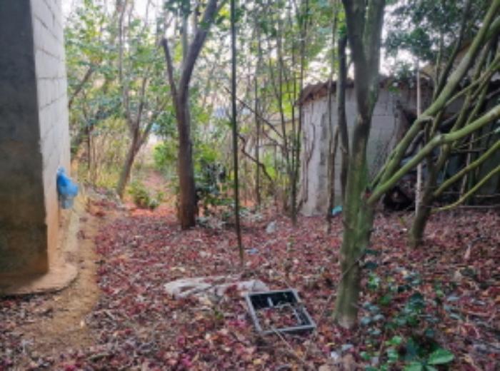전라남도 고흥군 동강면 장덕리 533 전 경매 사진 33