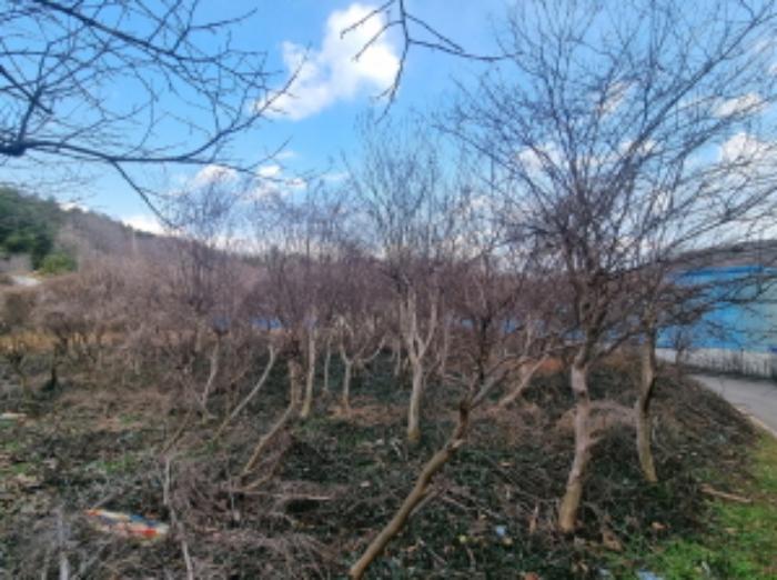 전라남도 고흥군 동강면 장덕리 533 전 경매 사진 35