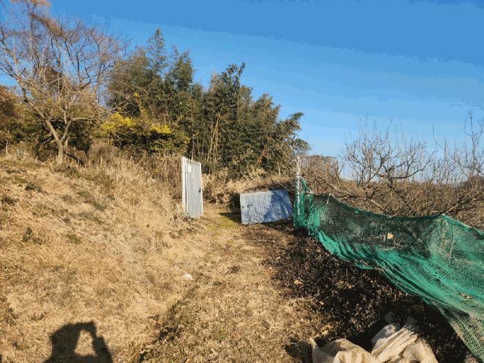 전라남도 고흥군 동강면 장덕리 533 전 경매 사진 4