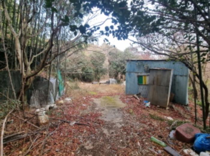 전라남도 고흥군 동강면 장덕리 533 전 경매 사진 40
