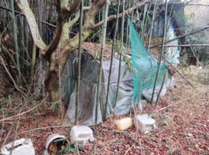 전라남도 고흥군 동강면 장덕리 533 전 경매 사진 42