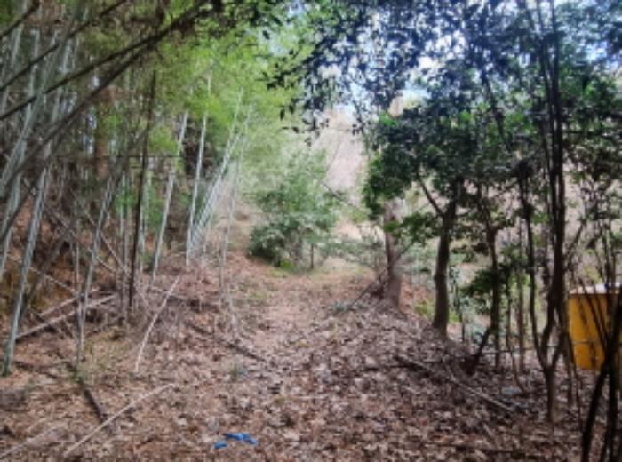 전라남도 고흥군 동강면 장덕리 533 전 경매 사진 44