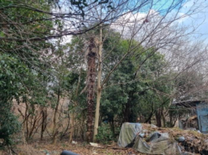 전라남도 고흥군 동강면 장덕리 533 전 경매 사진 45