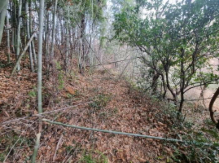전라남도 고흥군 동강면 장덕리 533 전 경매 사진 47