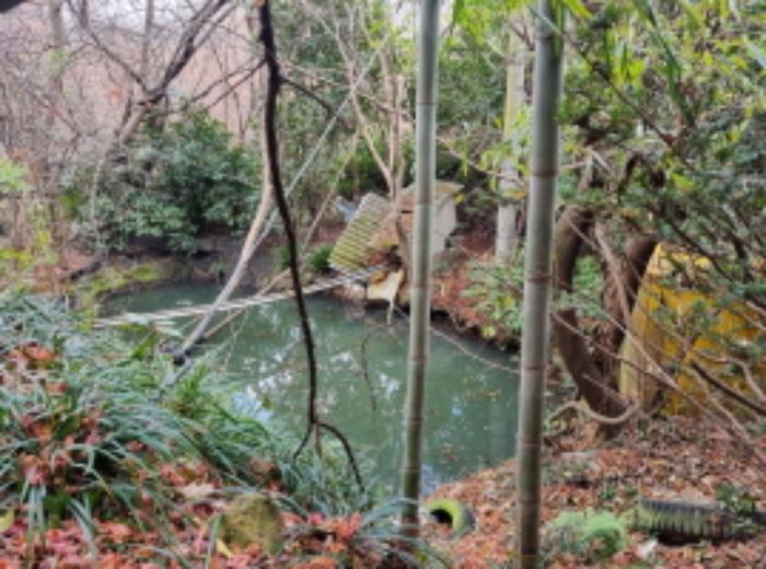 전라남도 고흥군 동강면 장덕리 533 전 경매 사진 48