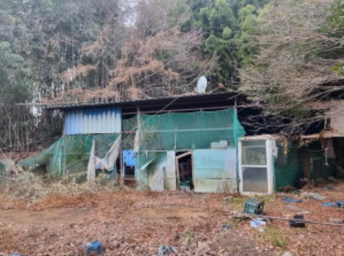 전라남도 고흥군 동강면 장덕리 533 전 경매 사진 51