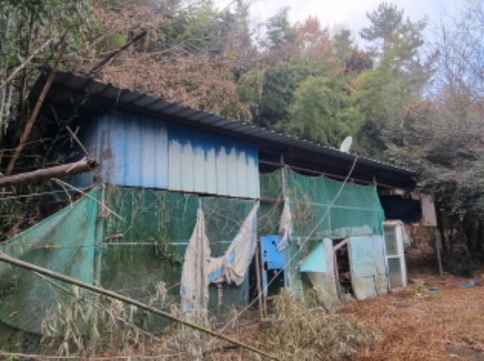 전라남도 고흥군 동강면 장덕리 533 전 경매 사진 52