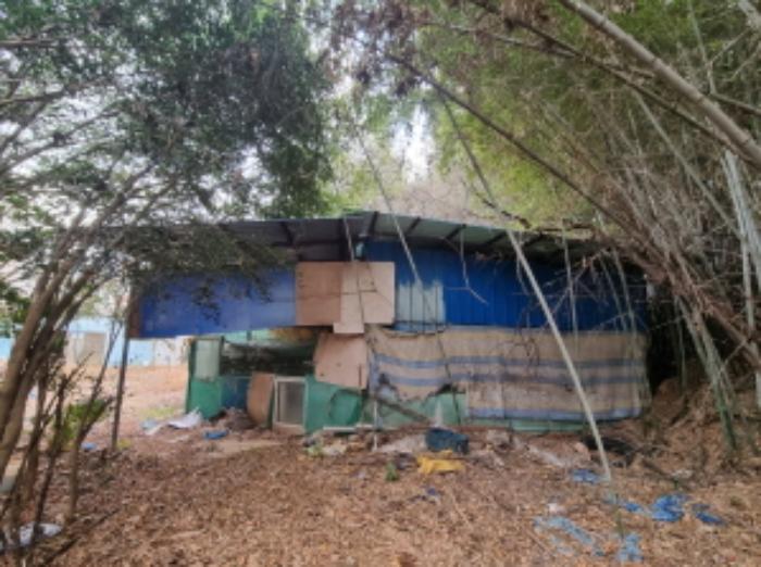 전라남도 고흥군 동강면 장덕리 533 전 경매 사진 53