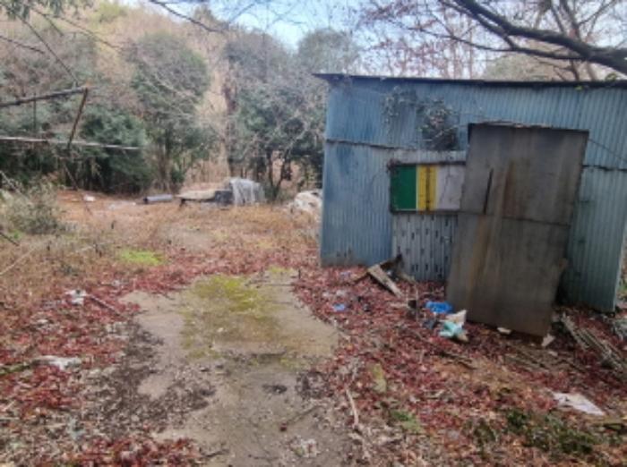 전라남도 고흥군 동강면 장덕리 533 전 경매 사진 55