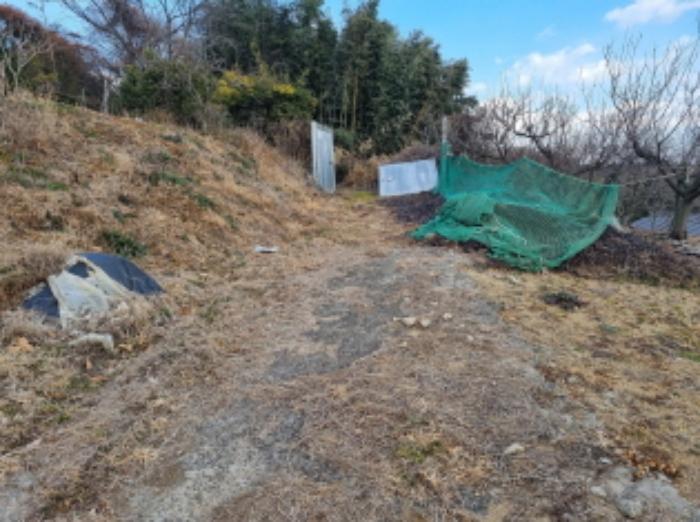 전라남도 고흥군 동강면 장덕리 533 전 경매 사진 62