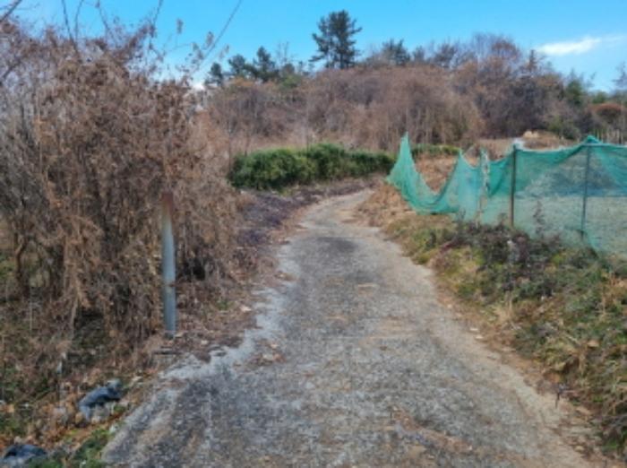 전라남도 고흥군 동강면 장덕리 533 전 경매 사진 66