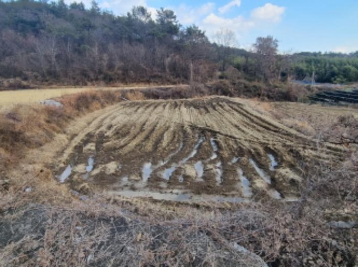 전라남도 고흥군 동강면 장덕리 533 전 경매 사진 70