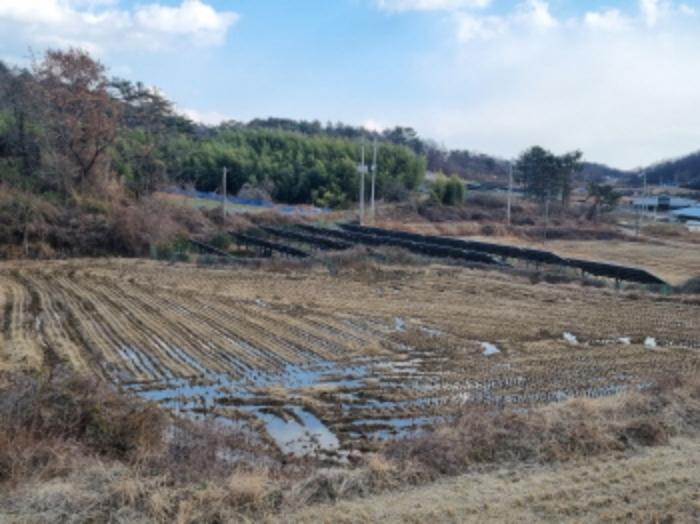 전라남도 고흥군 동강면 장덕리 533 전 경매 사진 72