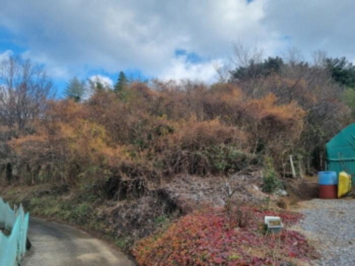 전라남도 고흥군 동강면 장덕리 533 전 경매 사진 73