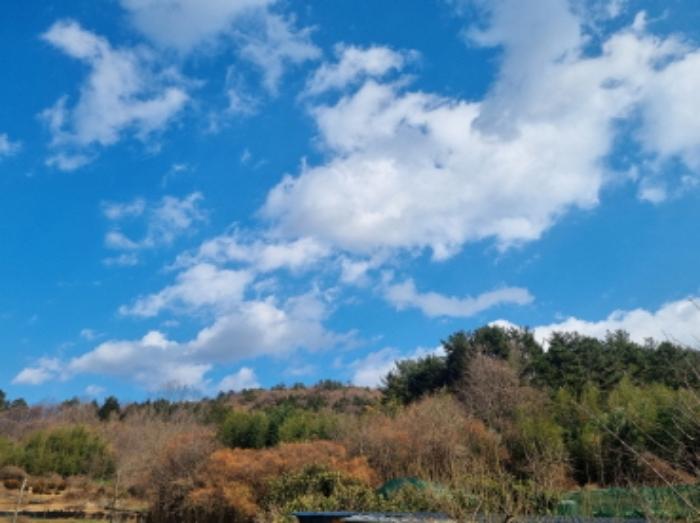 전라남도 고흥군 동강면 장덕리 533 전 경매 사진 81