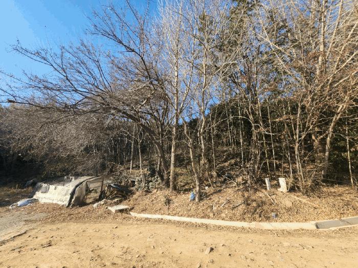 전라남도 고흥군 동강면 장덕리 533 전 경매 사진 9
