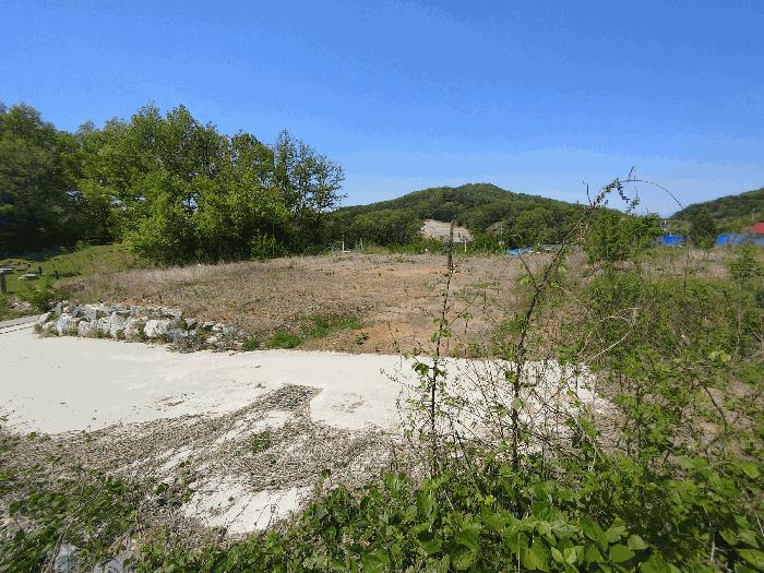 충청남도 논산시 은진면 시묘리 285 임야 경매 사진 2