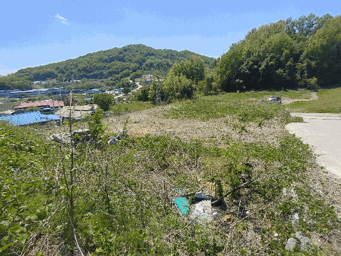 충청남도 논산시 은진면 시묘리 285 임야 경매 사진 4