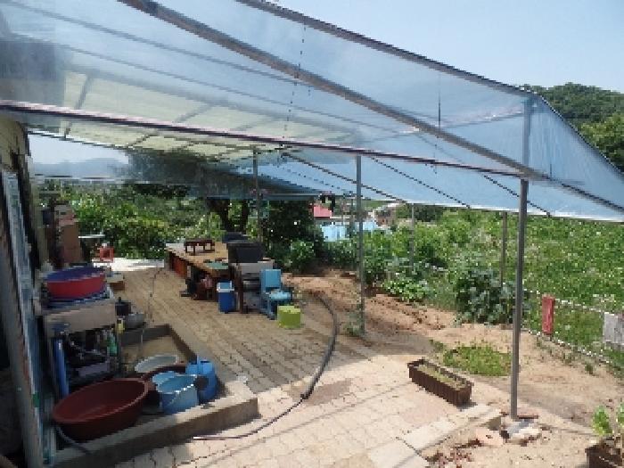 충청남도 논산시 은진면 시묘리 285 임야 경매 사진 7