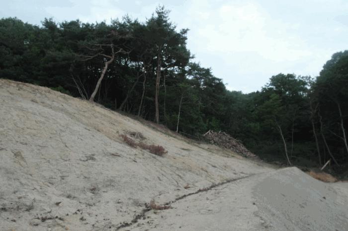충청남도 논산시 은진면 시묘리 산79-1 임야 경매 사진 3