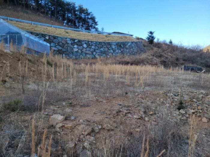 전라남도 광양시 봉강면 부저리 336-24 전 경매 사진 14