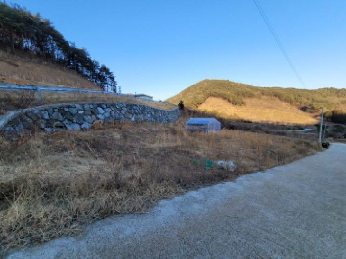 전라남도 광양시 봉강면 부저리 336-24 전 경매 사진 18